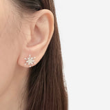 Silver Lume Snowflake Earrings