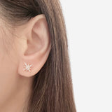 Rose Gold Silvia Earrings