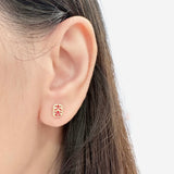 Auspiciousness Earrings 大吉