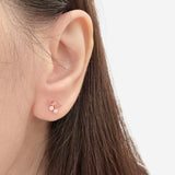 Rose Gold Candy Ribbon Earrings