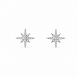Silver Silvia Earrings